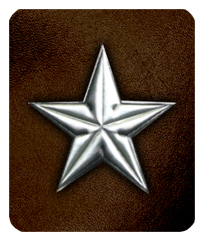 DF35-430-SL-BR Star Silver-Brown